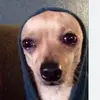 Billy Medina - @billy.medina85 - TikTok