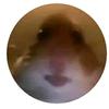 ㅤ - @billymendez1029 - TikTok