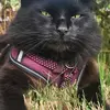 Bill Meyer - @bill.meyer24 - TikTok