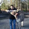 Billy Meyer - @meyerwil - TikTok