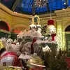 Billy Meyer - @billymeyer41 - TikTok