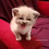 Billy Moore - @billyy.moore - TikTok