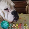 Billy Moore - @billy.moore300 - TikTok