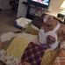 William Morse - Facebook