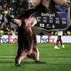 Billy Neville is hot - @billy_neville_is_hot - TikTok
