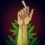 Billy Norris - @billynorris_42 - Instagram