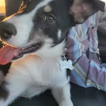 Tasha Billy Nowell - @bilitisit2 - Instagram