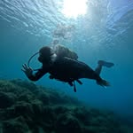 Billy Osborne - @william_osborne_ - Instagram