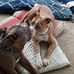 Billy Palmer - Facebook