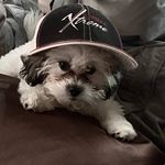 Billy Palmer - @billy_palmer99 - Instagram