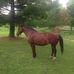 Billy Parrish - Facebook