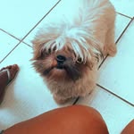 @billy._.pedro - Instagram