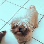 @billy_pedro.reis - Instagram
