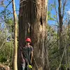 Billy Perkins - @billy.perkins - TikTok