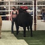 billy_perry - @billy_perry3 - Instagram