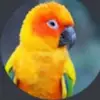 Billy - @billypool811 - TikTok