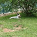 @billy_pool.2022 - Instagram
