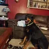 Bill Quarle - @bill.quarle - TikTok