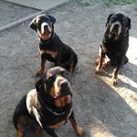 Bill Quarles - @bill.quarles.56 - Instagram
