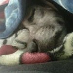 Billie Ruth Rawls Harvey - @billieruthharvey - Instagram