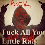 Billy Rhodes - @billuyrhodes1234555 - Instagram