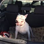 Billy Rice - @billyrice4208 - Instagram