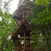 billyrice733 - @billyrice733 - TikTok