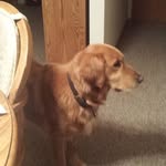Bill Richter - @bill.richter.3785 - Instagram