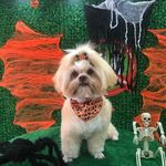 Billy - @billy_riffel - Instagram