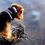 Billy Ritter - @billybullfrog - Instagram