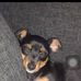 Billy de la Roche - Facebook
