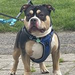 Billy Roe - @billyroe1992 - Instagram