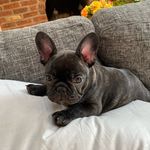 Billy Rush - @littlebillybigcity - Instagram