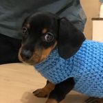 Billy Salazar Cáceres - @billysalcac - Instagram