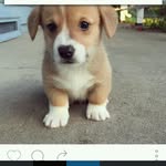 Billy sellers - @raysellersbilly - Instagram