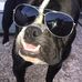 Billy Shelby - Facebook