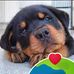 Billy Shelby - Facebook