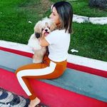 Billy shi tzu🐶macho - @billy_shi_tzu - Instagram