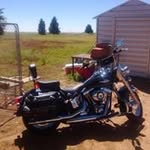 Bill Shifflett - @billshifflett - Instagram