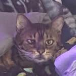Billysnider - @billysnider_04 - Instagram