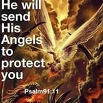 Bill Speer - @bill.speer - Instagram