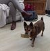 Billy Speer - Facebook