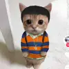 . - @billy.sta - TikTok