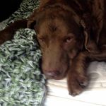 Bill Strunk - @bill.strunk - Instagram