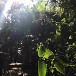 Billy Sumner - @billysumner3 - Instagram