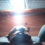 billy swift - @swiftbilly06 - Instagram