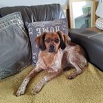 Billy Teague - @teague1142 - Instagram