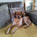 Billy Teague - Facebook
