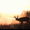 Billythekid - @billythekid1245 - TikTok