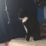 Billy kemp - @billy.three.legs - Instagram
